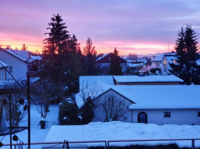 Wohnung im Schwarzwald mit Panorama Blick
